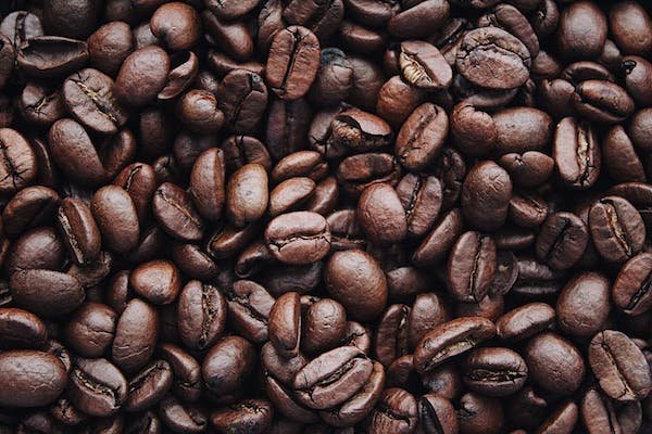 Tout savoir sur le café en grain : de la fève à la tasse